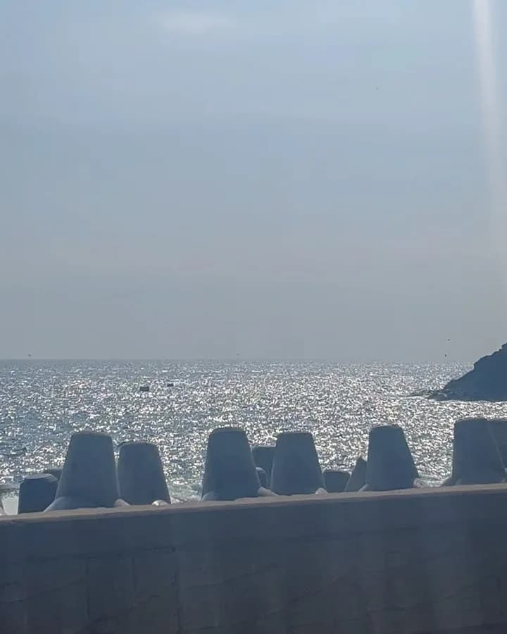 (2022.07.08 ~ 2022.07.10)
우리나라, 울릉도